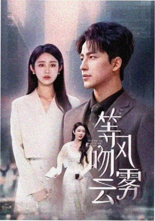 美剧硅谷风暴海报