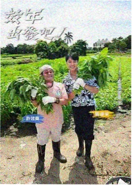 综艺深夜厨房第六季海报